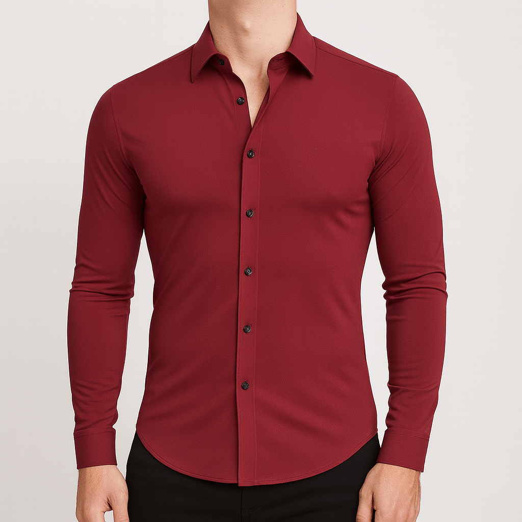 Bluzeo | Elastic classic shirt