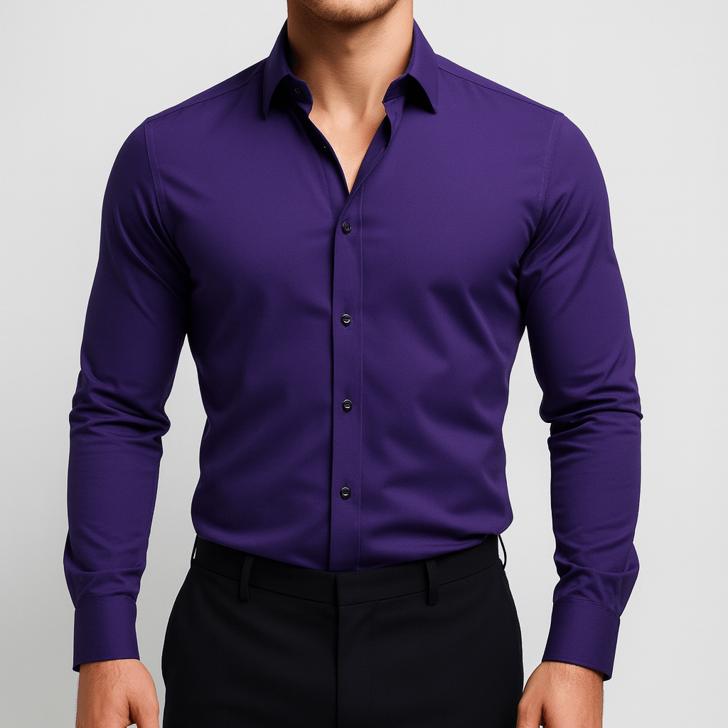 Bluzeo | Elastic classic shirt