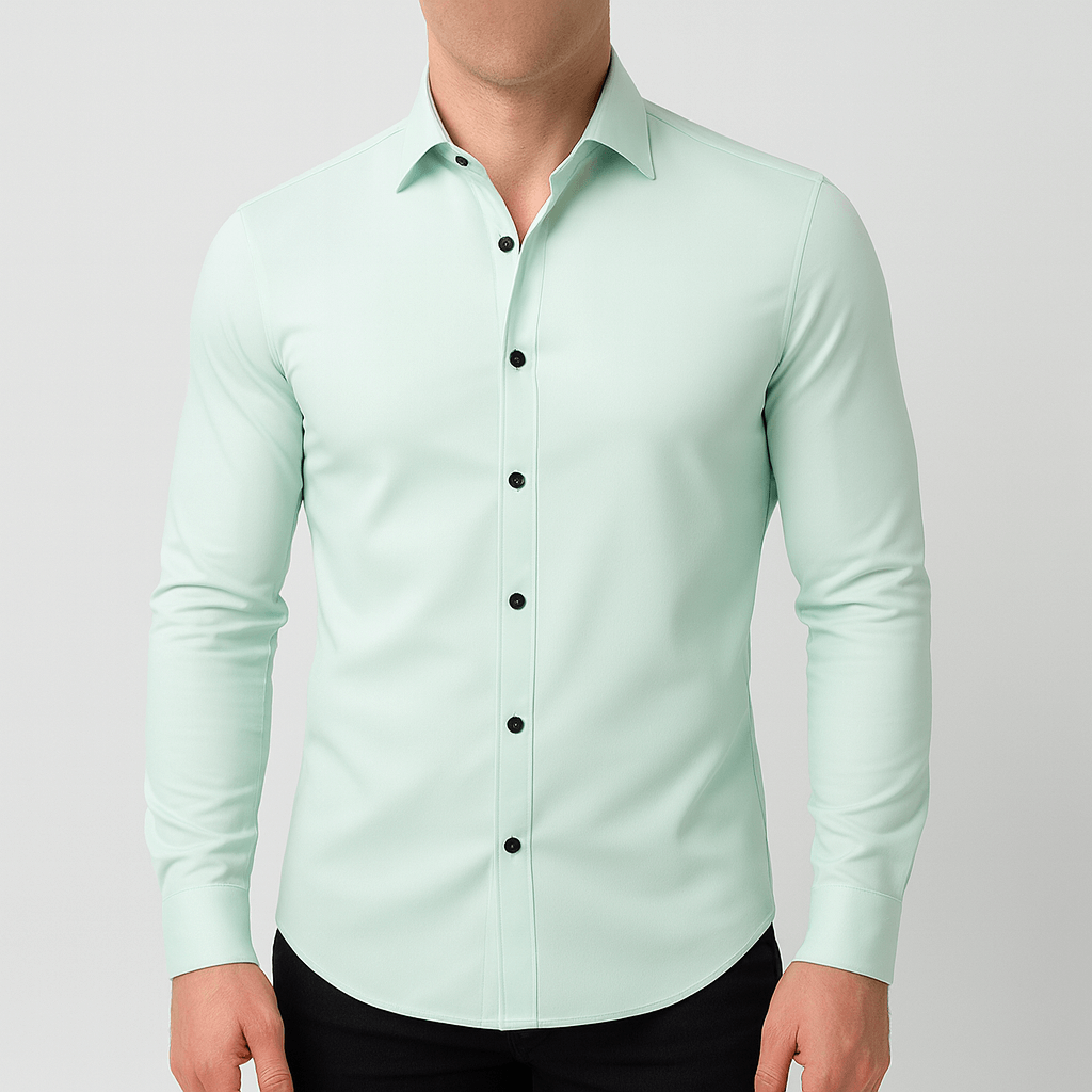 Bluzeo | Elastic classic shirt